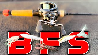 Bait Finesse Tricks BFS For Summer Bass Fishing [upl. by Mendelson]