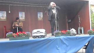 Jope Ruonansuu live  Kemijärvi 1862011 [upl. by Rahr]