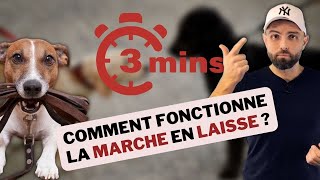 3min CHRONO  La marche en laisse [upl. by Nylekcaj]