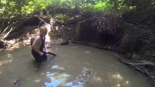 Seining For Bait In A Small Creek [upl. by Cynthea]