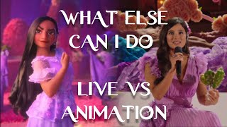 Encanto  What Else Can I Do  Live vs Animation  Side By Side Comparison Diane Guerrero [upl. by Saidel516]