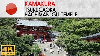 KAMAKURA  Tsurugaoka Hachimangu temple [upl. by Eidas601]