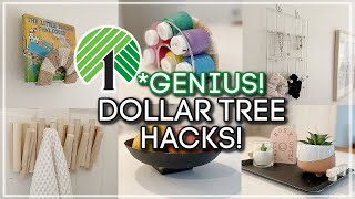 GENUIS DOLLAR TREE Hacks and Organization Ideas 2023  Must Try [upl. by Amuh477]