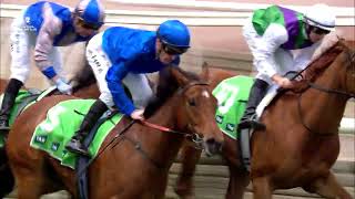 Every race from Penfolds Victoria Derby Day [upl. by Vassili]