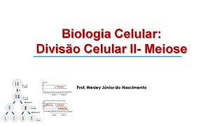 Biologia Celular 11 Ciclo Celular II Meiose [upl. by Jarrell809]