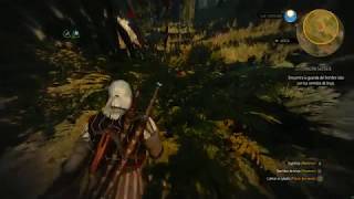 The Witcher 3  Niellen el cazador [upl. by Maddi]