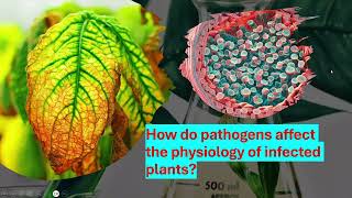 How do the pathogens affect physiology of infected plants [upl. by Narf]