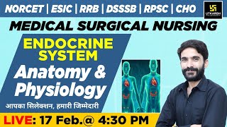 Endocrine System  Anatomy amp Physiology  NORCET amp Other Nursing Exams  Raju Sir [upl. by Sholom]