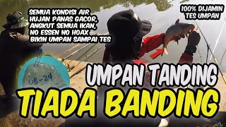 UB24 UMPAN TERJITU MANCING IKAN MAS  LANGSUNG TES  UMPAN TANDING TIADA BANDING  TERBARU 2024 [upl. by Ajat]