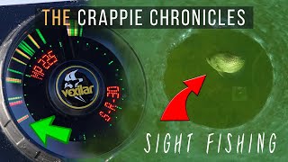 SIGHT FISHING Shallow Panfish amp CHRISTMAS TREE Crappies  The Crappie Chronicles S4E7 [upl. by Kammerer426]