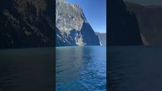 Milford Sound is such a beautiful natural wonder newzealand travel shorts [upl. by Hardi]