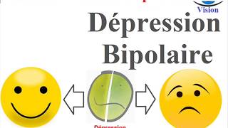 Les Symptomes du Trouble Bipolaire Depression amp Mania Bipolar Disorder Les Maladies mentales [upl. by Nyasuh687]