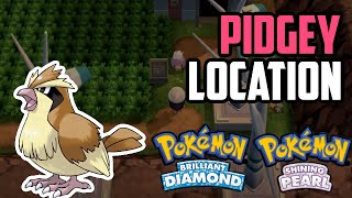 How to Catch Pidgey  Pokémon Brilliant Diamond amp Shining Pearl [upl. by Thoma193]