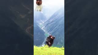 Travel of old man nature travel mountains watch [upl. by Reo]