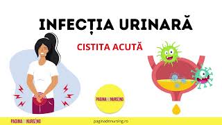 Infecția urinară sau Cistita acută îngrijirea pacientului cu cistită [upl. by Mancino]