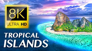 The Most Beautiful Tropical Islands in the World 8K ULTRA HD [upl. by Alister]