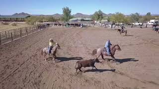 Team Roping Practice with World Champion Mike Beers in Cave Creek AZ [upl. by Legin]