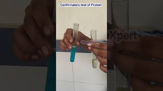 Confirmatory Test For ProteinBiuret Test  Class 12 Food Analysis [upl. by Ecyarg]