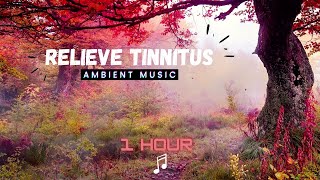 Bruit blanc acouphènes La musique relaxante pour apaiser lesprit [upl. by Genaro]