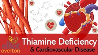 Vitamin B1 Thiamine Deficiency Cardiovascular amp Circulatory Diseases [upl. by Nojed94]