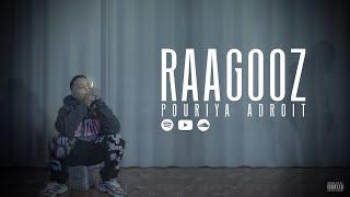 Pouriya Adroit  Raagooz Official Music Video [upl. by Saberio]