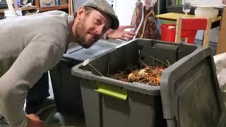 How Hot Can Compost Get In Plastic Bins In The Garage [upl. by Grube]