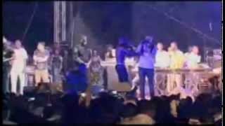 Tinie Tempah Performing quotPass Outquot  Koko Concert 2012 [upl. by Ovida]