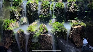 Making a paludarium with fog Quiet mountain [upl. by Aifas280]