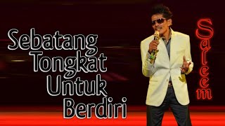 SALEEM  Sebatang Tongkat Untuk Berdiri  Video Lirik [upl. by Andrews]