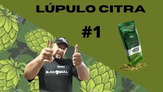 Lúpulo Citra 1 [upl. by Ile]