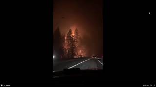 Raw video Tree on fire off Highway 224 in Estacada [upl. by Noed]