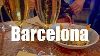 A Day in VLOG  Barcelona  Santagustina Paradiso El Born La Palma Xurreria Trebol Ciutadella [upl. by Naahs620]