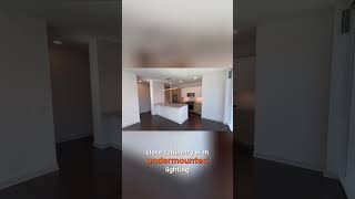 Luxury Apartments in Chicago Illinois for Rent Along the Chicago River [upl. by Sihonn]