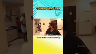 Code word name friends vj siddu vlogs vjsiddhuvlogs [upl. by Atnahsal958]