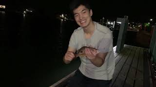 Fishing the Mooloolaba River Sunshine Coast Romantic getaway turned fishing trip [upl. by Erek]