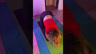 Workout warmup yoga balance yogapractice yogamusic balance workout nature life lifestyle [upl. by Bronny]