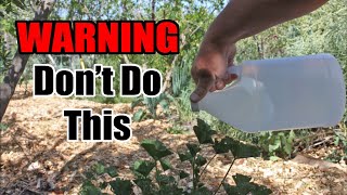 This Is Why You Should NOT Use Vinegar Weed Killer In The Garden [upl. by Axe]