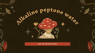 Alkaline peptone water [upl. by Garey]