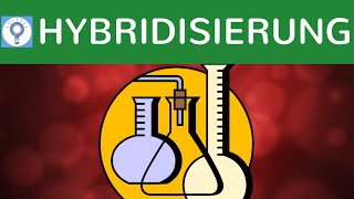 Hybridisierung amp DNAHybridisierungsverfahren einfach erklärt  SouthernBlotting amp Bsp  Analyse 2 [upl. by Orutra]