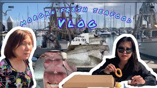 Went To “Morgan’s Fresh Seafood At Redcliffe  Living In Australia [upl. by Solram]