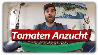 Tomaten erfolgreich aussäen  Wann und wie [upl. by Ivetts]