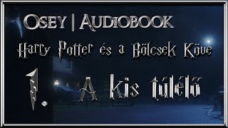 Harry Potter és a Bölcsek Köve hangoskönyv  1 fejezet [upl. by Danell]