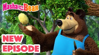 Masha and the Bear 2024 🎬 NEW EPISODE 🎬 Best cartoon collection 🥔 Soup Pursuit 🥕🍲 [upl. by Zeralda]