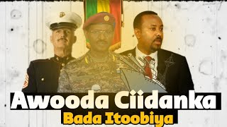 Taariikhda Awooda Ciidanka Badda Itoobiya  Dal Aan bad laheen 😀 [upl. by Drusi]