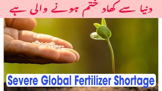 Global Fertilizer Crisis  کھاد کا عالمی فقدان  उर्वरक की कमी [upl. by Coady869]