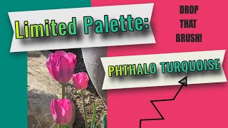 Limited Palette Phthalo Turquoise [upl. by Epolulot]