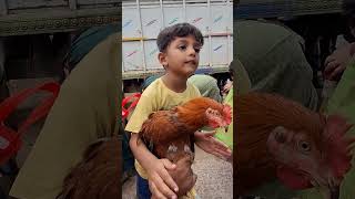 Sitarala sirapadu kidsmusicfun cutebaby funactivites chicken [upl. by Stanwin655]