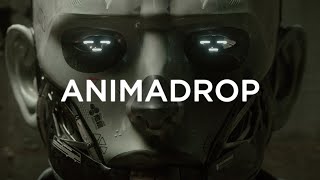 Animadrop  HumanID [upl. by Rives438]