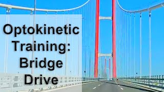 Optokinetic Training Bridge Drive Simple Suspension [upl. by Murat]