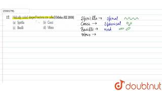 Helically coiled shaped bacteria are called [upl. by Agnes]